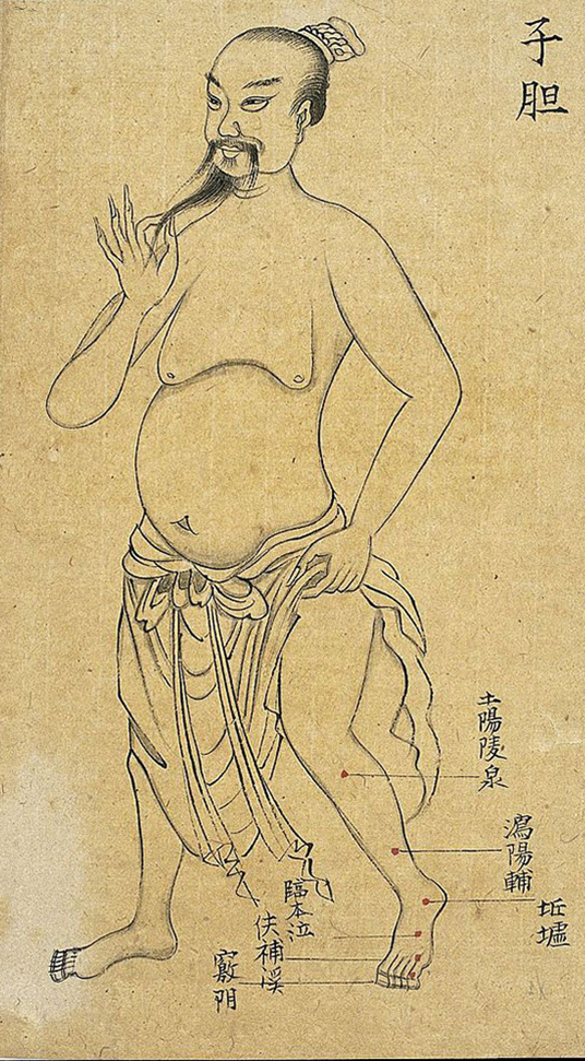 akupunktura, punkty akupunkturowe, historia tradycyjnej medycyny chińskiej, tradycyjna medycyna chińska, mansukrypt