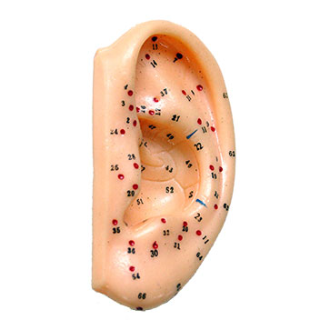 aurikuloterapia, punkty uszne, punkty ucha, ucho, akupunktura